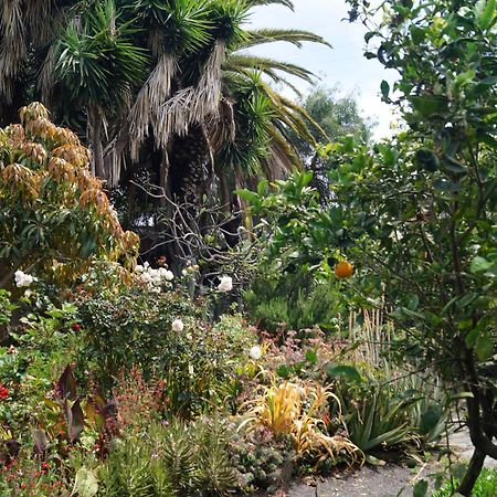 La Casita Del Jardinero Villa Los Llanos De Aridane Luaran gambar