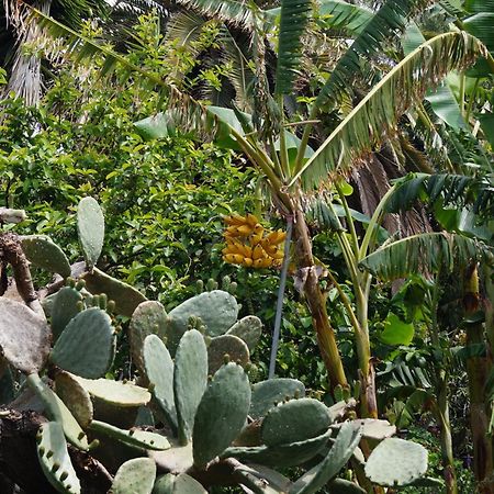 La Casita Del Jardinero Villa Los Llanos De Aridane Luaran gambar