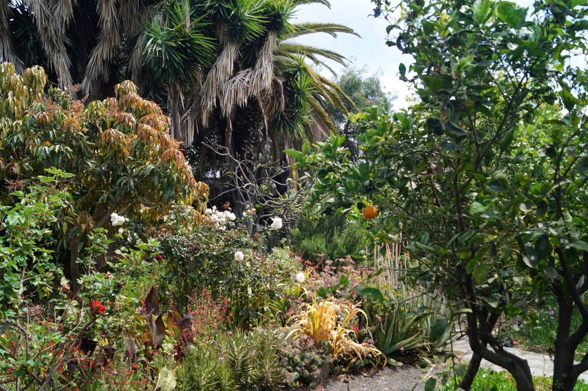 La Casita Del Jardinero Villa Los Llanos De Aridane Luaran gambar