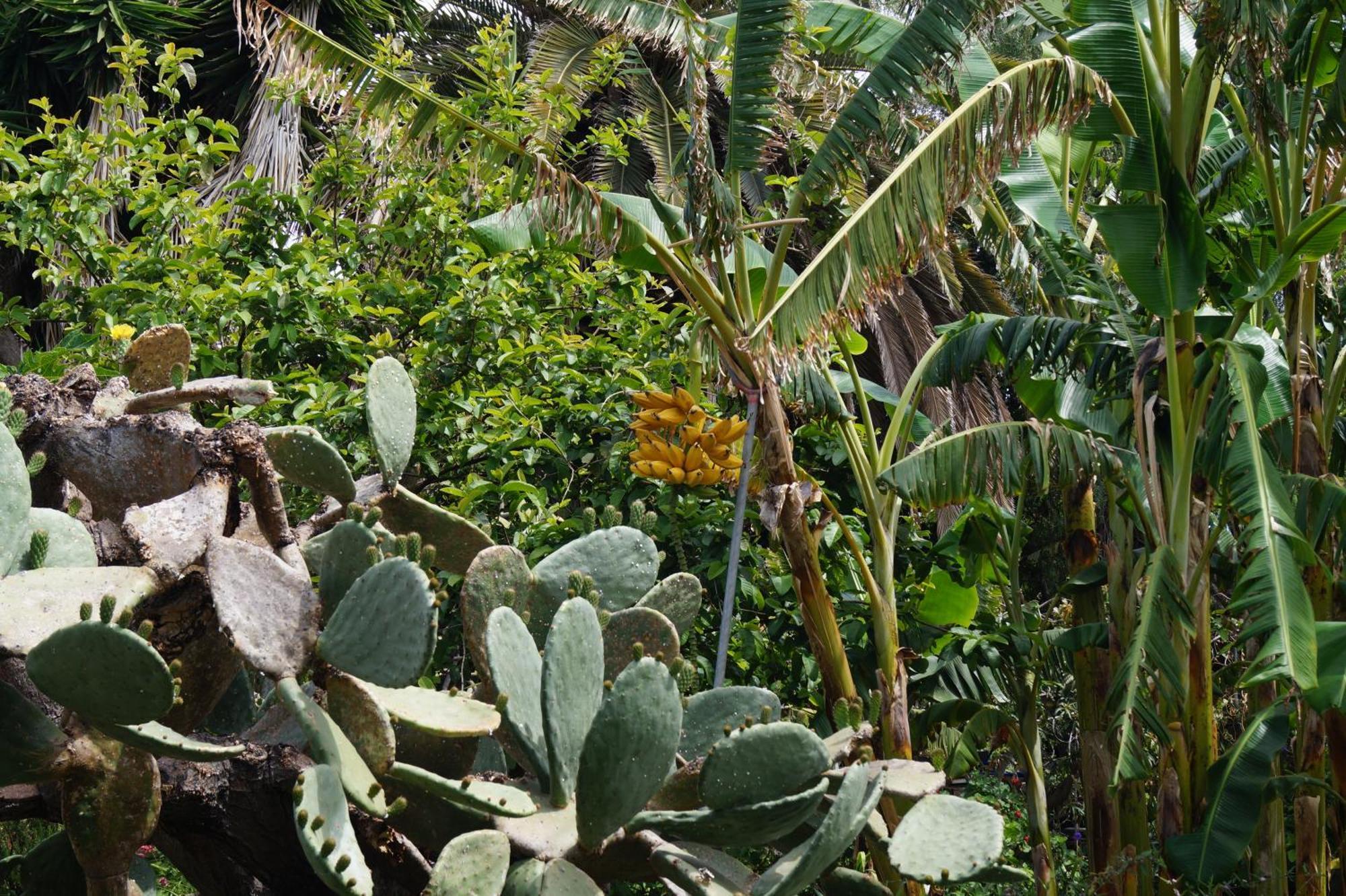 La Casita Del Jardinero Villa Los Llanos De Aridane Luaran gambar